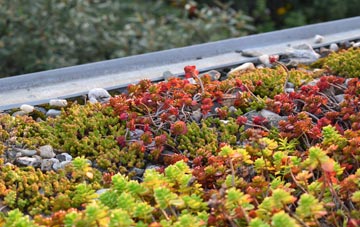 the cost of Brook Green green roof installation