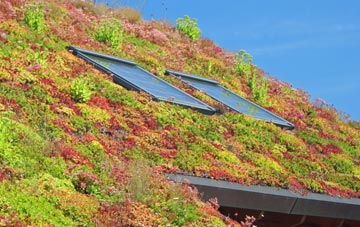 Brook Green living roof systems